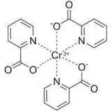 chromium-picolinate-sugar-defender